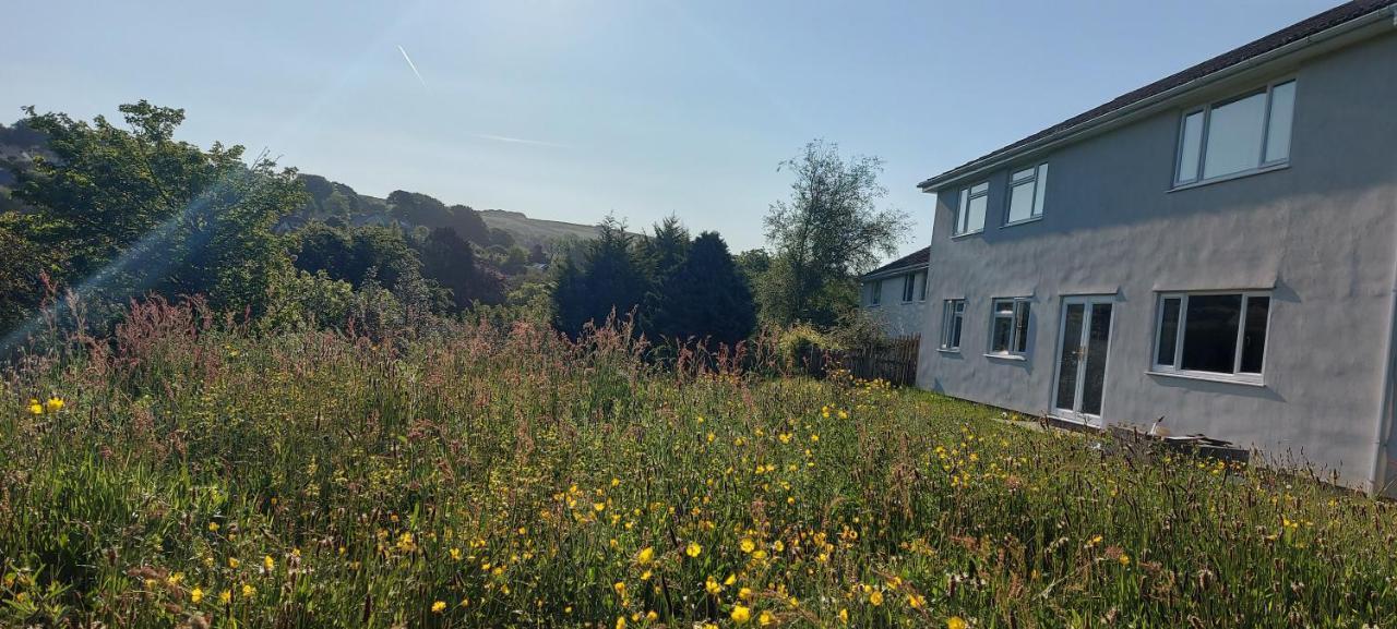 Highfield House, Parracombe, Modern B&B Esterno foto