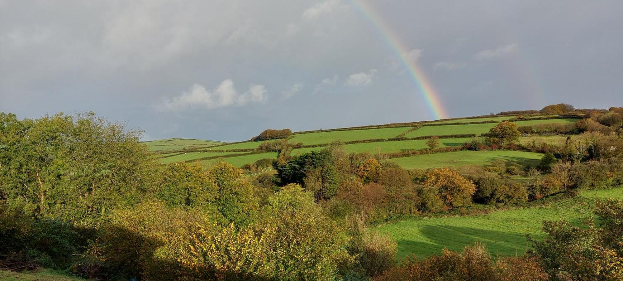Highfield House, Parracombe, Modern B&B Esterno foto